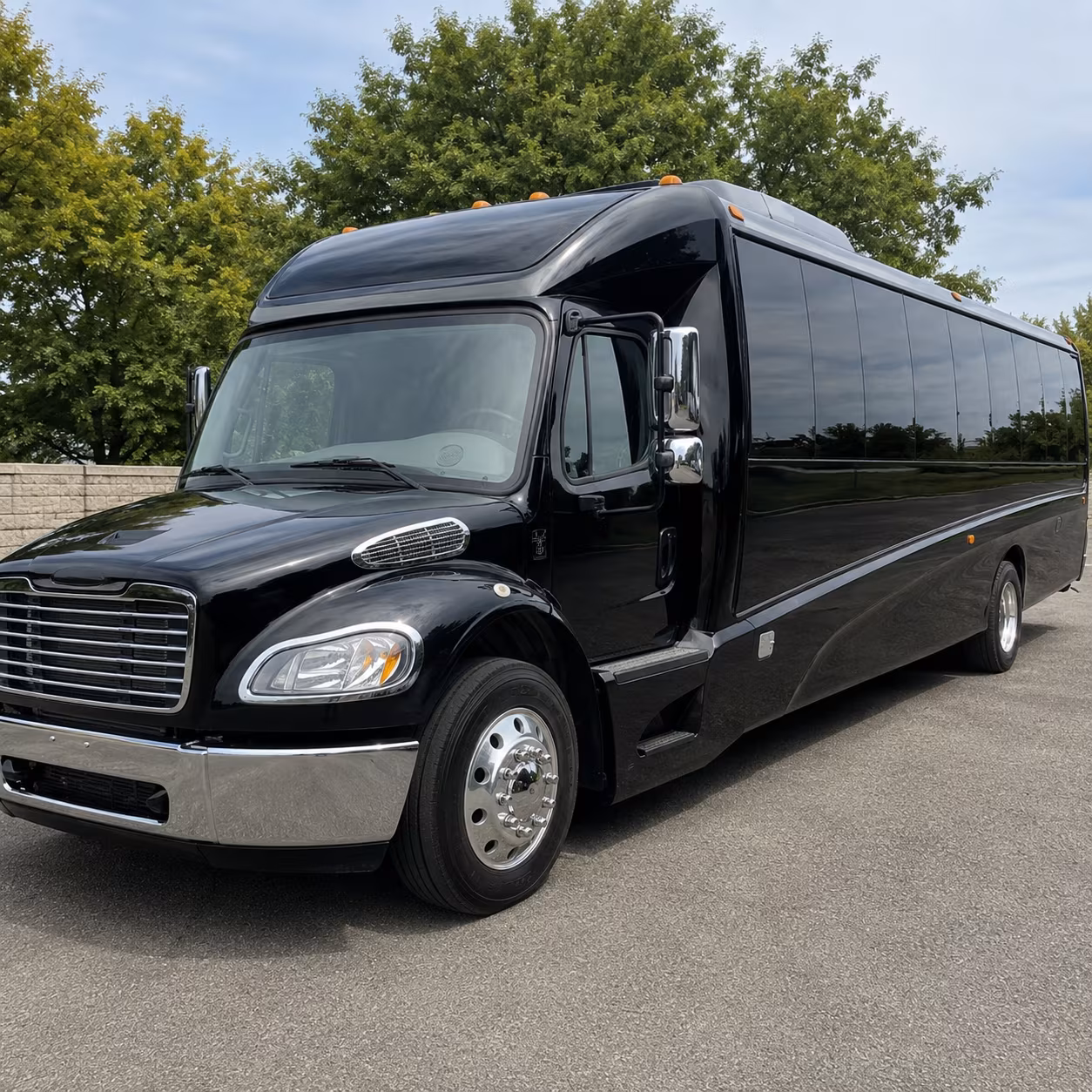 san mateo 18 passenger minibus